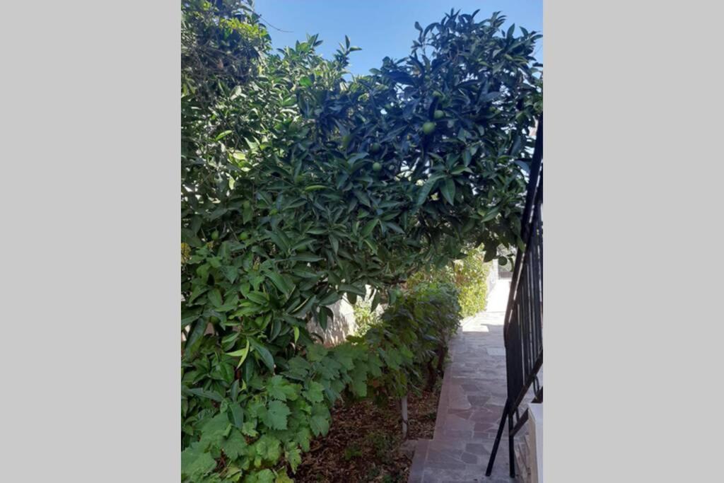 Giovanna - Spacious Lovely Apartment Supetar Exterior foto